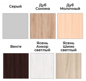 Шкаф-купе ХИТ 22-4-14-11 (420) в Кудымкаре - kudymkar.mebel24.online | фото 5