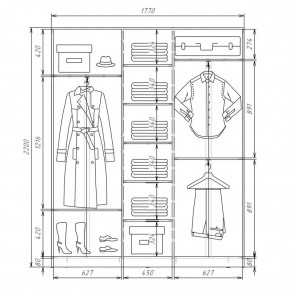 Шкаф-купе ХИТ 22-4-18-555 (420) в Кудымкаре - kudymkar.mebel24.online | фото 2