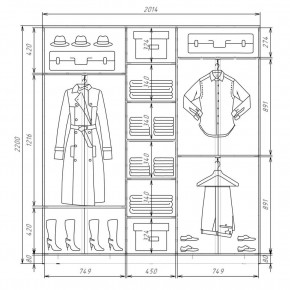 Шкаф-купе ХИТ 22-4-20-222 (420) в Кудымкаре - kudymkar.mebel24.online | фото 2