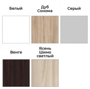Шкаф-купе ХИТ 23-24/2-7777 (620) в Кудымкаре - kudymkar.mebel24.online | фото 2