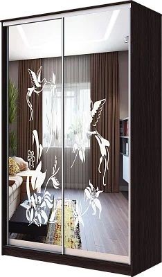 Шкаф-купе ХИТ 23-4-12/2-66 КОЛИБРИ в Кудымкаре - kudymkar.mebel24.online | фото