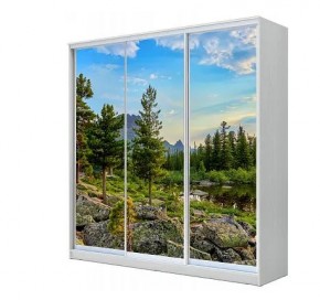 Шкаф-купе ХИТ 23-4-20-777 (420) в Кудымкаре - kudymkar.mebel24.online | фото
