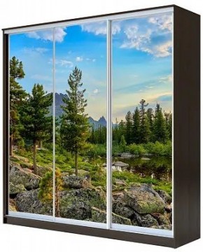 Шкаф-купе ХИТ 23-4-20-777 ПРИРОДА в Кудымкаре - kudymkar.mebel24.online | фото