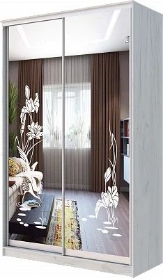 Шкаф-купе ХИТ 24-14-66 ЦАПЛИ в Кудымкаре - kudymkar.mebel24.online | фото