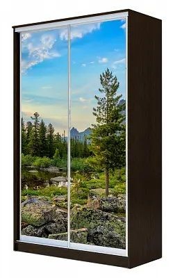 Шкаф-купе ХИТ 24-14-77 ПРИРОДА в Кудымкаре - kudymkar.mebel24.online | фото