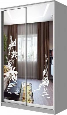 Шкаф-купе ХИТ 24-15-66 ЦАПЛИ в Кудымкаре - kudymkar.mebel24.online | фото