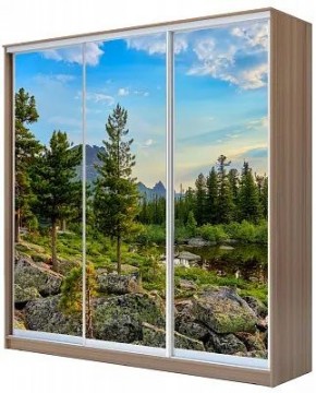 Шкаф-купе ХИТ 24-18-777 ПРИРОДА в Кудымкаре - kudymkar.mebel24.online | фото