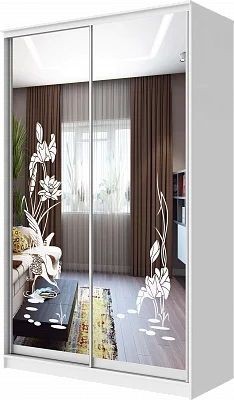 Шкаф-купе ХИТ 24-4-12-66 ЦАПЛИ в Кудымкаре - kudymkar.mebel24.online | фото