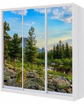 Шкаф-купе ХИТ 24-4-18/2-777 ПРИРОДА в Кудымкаре - kudymkar.mebel24.online | фото
