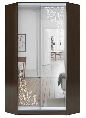 Шкаф-купе ХИТ-У-23-4-66 ОРНАМЕНТ в Кудымкаре - kudymkar.mebel24.online | фото