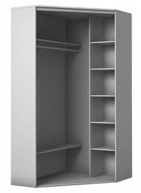 Шкаф-купе ХИТ-У-24-4-66 в Кудымкаре - kudymkar.mebel24.online | фото 3