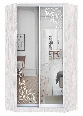 Шкаф-купе ХИТ-У-24-4-66 ОРНАМЕНТ в Кудымкаре - kudymkar.mebel24.online | фото