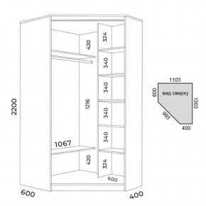 Шкаф-купе ХИТ-У-L-22-64-77 в Кудымкаре - kudymkar.mebel24.online | фото 2