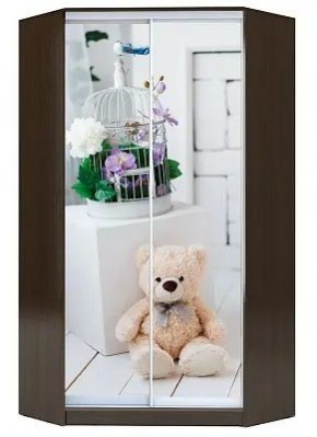 Шкаф-купе ХИТ-У-R-23-64-77 МИШКА В ИНТЕРЬЕРЕ в Кудымкаре - kudymkar.mebel24.online | фото