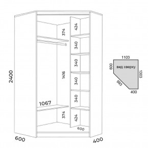 Шкаф-купе ХИТ-У-R-24-64-15 в Кудымкаре - kudymkar.mebel24.online | фото 3
