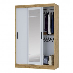 Шкаф-купе Тео ШКК-02 (крафт/белый) в Кудымкаре - kudymkar.mebel24.online | фото 3
