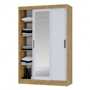 Шкаф-купе Тео ШКК-02 (крафт/белый) в Кудымкаре - kudymkar.mebel24.online | фото 4