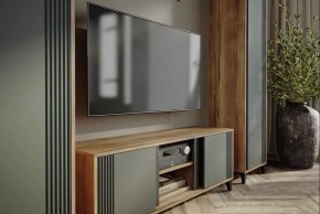 Шкаф платяной Богемия в Кудымкаре - kudymkar.mebel24.online | фото 3