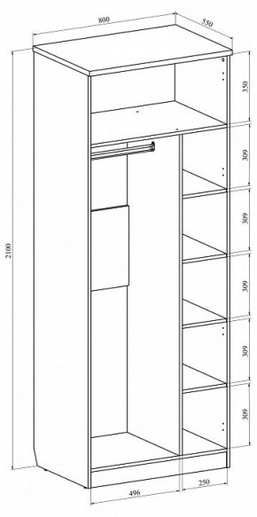 Шкаф платяной Виктория ВИ-11 в Кудымкаре - kudymkar.mebel24.online | фото 5