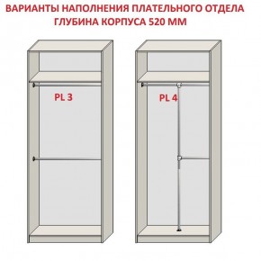 Шкаф распашной серия «ЗЕВС» (PL3/С1/PL2) в Кудымкаре - kudymkar.mebel24.online | фото 10