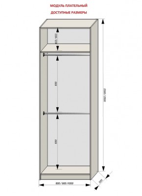 Шкаф распашной серия «ЗЕВС» (PL3/С1/PL2) в Кудымкаре - kudymkar.mebel24.online | фото 12