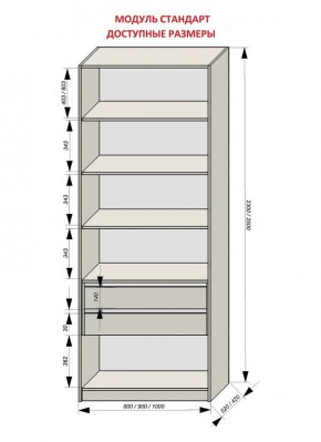 Шкаф распашной серия «ЗЕВС» (PL3/С1/PL2) в Кудымкаре - kudymkar.mebel24.online | фото 13