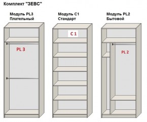 Шкаф распашной серия «ЗЕВС» (PL3/С1/PL2) в Кудымкаре - kudymkar.mebel24.online | фото 2