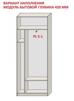 Шкаф распашной серия «ЗЕВС» (PL3/С1/PL2) в Кудымкаре - kudymkar.mebel24.online | фото 4