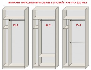 Шкаф распашной серия «ЗЕВС» (PL3/С1/PL2) в Кудымкаре - kudymkar.mebel24.online | фото 5