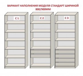 Шкаф распашной серия «ЗЕВС» (PL3/С1/PL2) в Кудымкаре - kudymkar.mebel24.online | фото 6