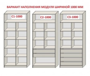 Шкаф распашной серия «ЗЕВС» (PL3/С1/PL2) в Кудымкаре - kudymkar.mebel24.online | фото 7