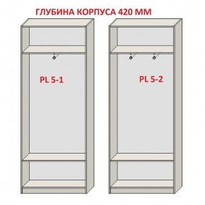 Шкаф распашной серия «ЗЕВС» (PL3/С1/PL2) в Кудымкаре - kudymkar.mebel24.online | фото 8