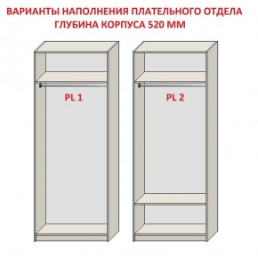 Шкаф распашной серия «ЗЕВС» (PL3/С1/PL2) в Кудымкаре - kudymkar.mebel24.online | фото 9