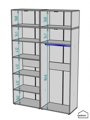 Шкаф с антресолью Linnea MHR-4A-1 2450х1600х510 (ДВ-М 11.1.25) в Кудымкаре - kudymkar.mebel24.online | фото 3