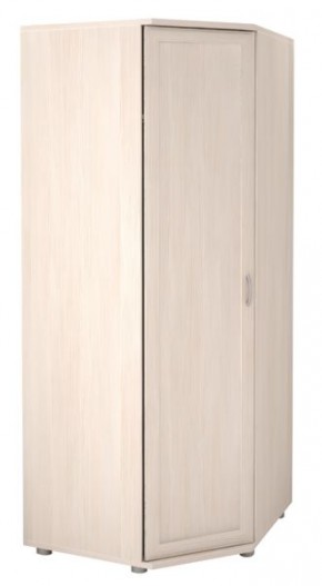Шкаф угловой для одежды Ника-Люкс 30 без зеркал в Кудымкаре - kudymkar.mebel24.online | фото 2