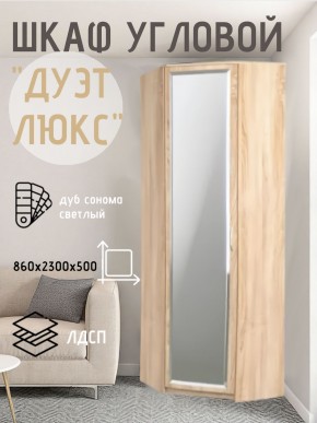 Шкаф угловой Дуэт Люкс с зеркалом в Кудымкаре - kudymkar.mebel24.online | фото