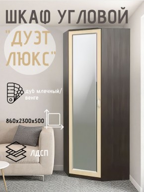 Шкаф угловой Дуэт Люкс с зеркалом в Кудымкаре - kudymkar.mebel24.online | фото 5