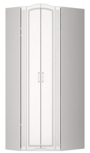 Шкаф угловой Виктория 26 в Кудымкаре - kudymkar.mebel24.online | фото 1