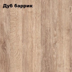 ГРАФ Стеллаж (дуб баррик) в Кудымкаре - kudymkar.mebel24.online | фото 2