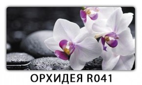 Стол Бриз с фотопечатью Кофе R012 в Кудымкаре - kudymkar.mebel24.online | фото 10