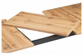 Стол обеденный Лота Лофт в Кудымкаре - kudymkar.mebel24.online | фото 6