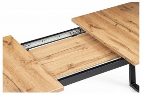 Стол обеденный Лота Лофт в Кудымкаре - kudymkar.mebel24.online | фото 9
