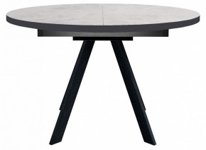 Стол обеденный RD100 в Кудымкаре - kudymkar.mebel24.online | фото