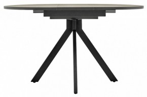 Стол обеденный Rudolf в Кудымкаре - kudymkar.mebel24.online | фото 7