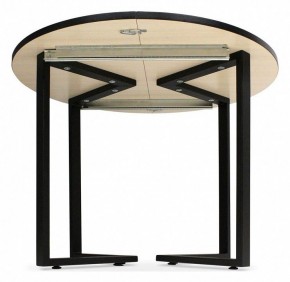 Стол обеденный SHT-T41 в Кудымкаре - kudymkar.mebel24.online | фото 3