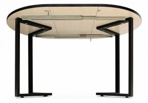 Стол обеденный SHT-T41 в Кудымкаре - kudymkar.mebel24.online | фото 5