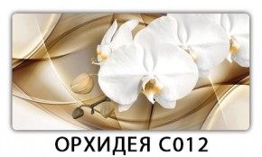 Стол раздвижной Трилогия с фотопечатью Орхидея R041 в Кудымкаре - kudymkar.mebel24.online | фото 13