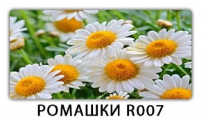 Стол раздвижной Трилогия с фотопечатью Орхидея R041 в Кудымкаре - kudymkar.mebel24.online | фото 15
