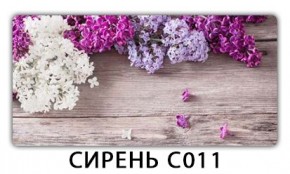 Стол раздвижной Трилогия с фотопечатью Орхидея R041 в Кудымкаре - kudymkar.mebel24.online | фото 16