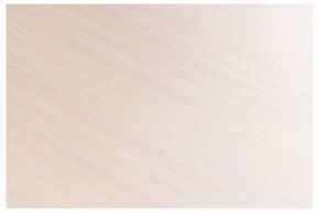 Стол-трансформер Престиж в Кудымкаре - kudymkar.mebel24.online | фото 8